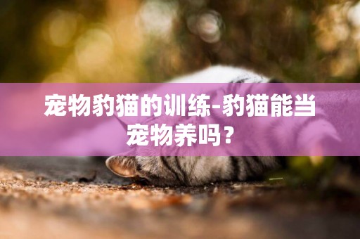 寵物豹貓的訓練-豹貓能當寵物養嗎？