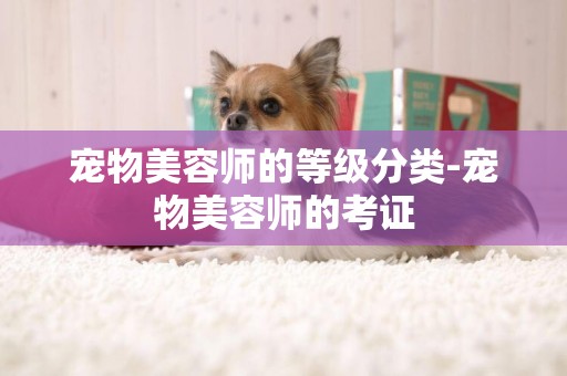 寵物美容師的等級分類-寵物美容師的考證