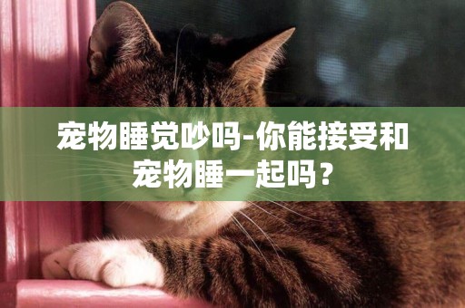 寵物睡覺吵嗎-你能接受和寵物睡一起嗎？