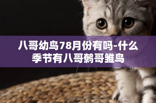 八哥幼鳥78月份有嗎-什么季節有八哥鷯哥雛鳥