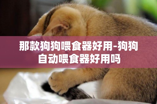那款狗狗喂食器好用-狗狗自動喂食器好用嗎