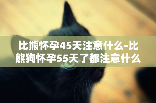 比熊懷孕45天注意什么-比熊狗懷孕55天了都注意什么