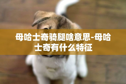 母哈士奇騎腿啥意思-母哈士奇有什么特征
