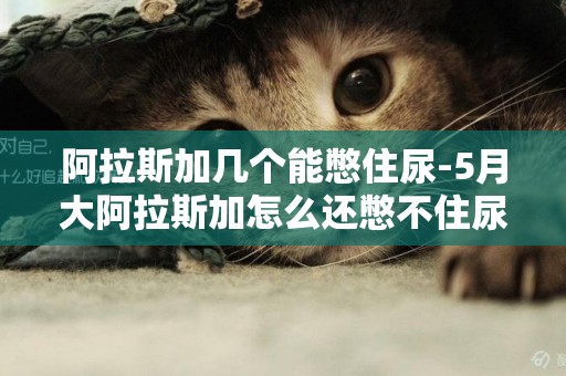 阿拉斯加幾個能憋住尿-5月大阿拉斯加怎么還憋不住尿呢