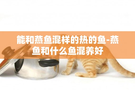 能和燕魚混樣的熱的魚-燕魚和什么魚混養好