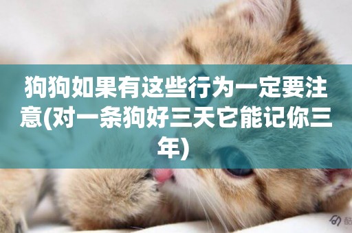 狗狗如果有這些行為一定要注意(對一條狗好三天它能記你三年) 