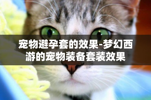 寵物避孕套的效果-夢幻西游的寵物裝備套裝效果