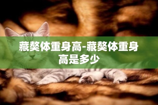 藏獒體重身高-藏獒體重身高是多少