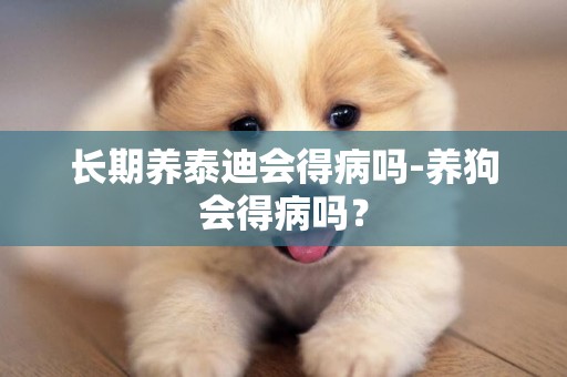 長期養泰迪會得病嗎-養狗會得病嗎？
