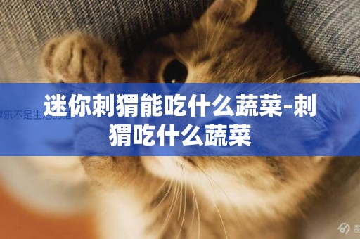 迷你刺猬能吃什么蔬菜-刺猬吃什么蔬菜