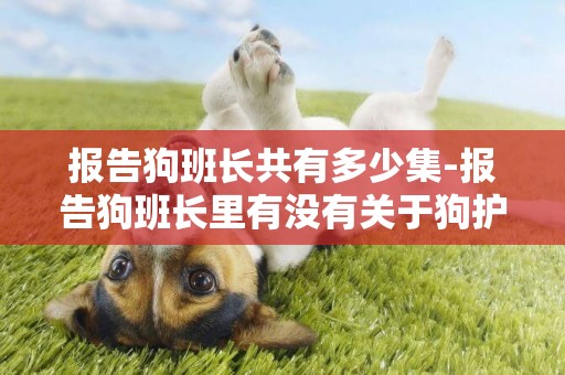 報告狗班長共有多少集-報告狗班長里有沒有關于狗護窩咬人的，哪一集，謝謝！