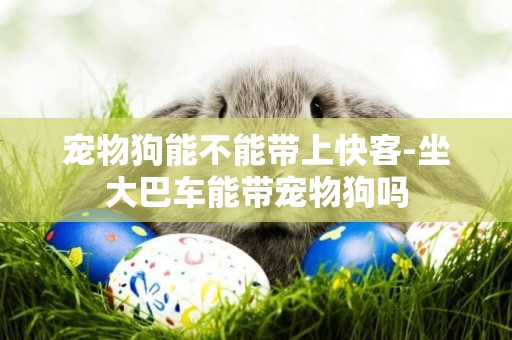 寵物狗能不能帶上快客-坐大巴車能帶寵物狗嗎