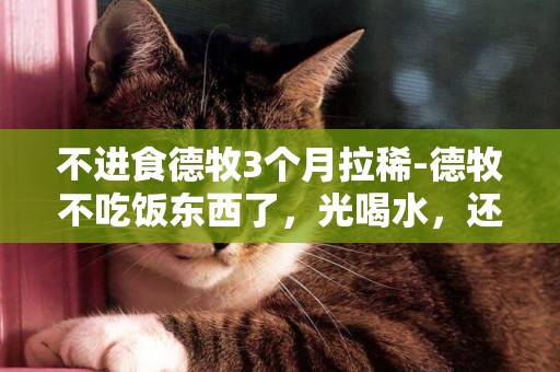 不進食德牧3個月拉稀-德牧不吃飯東西了，光喝水，還拉稀，怎么回事