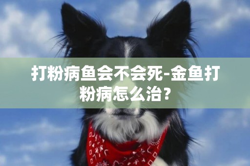 打粉病魚會不會死-金魚打粉病怎么治？