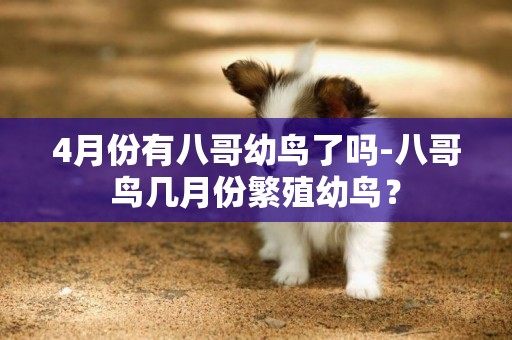 4月份有八哥幼鳥了嗎-八哥鳥幾月份繁殖幼鳥？