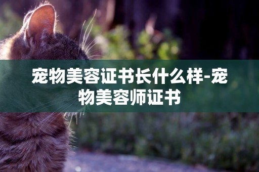 寵物美容證書長什么樣-寵物美容師證書