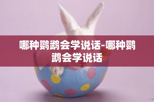 哪種鸚鵡會學說話-哪種鸚鵡會學說話