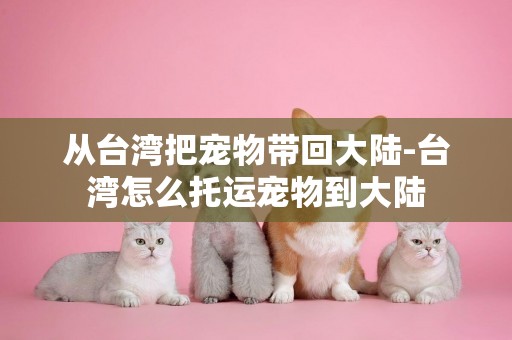 從臺灣把寵物帶回大陸-臺灣怎么托運寵物到大陸