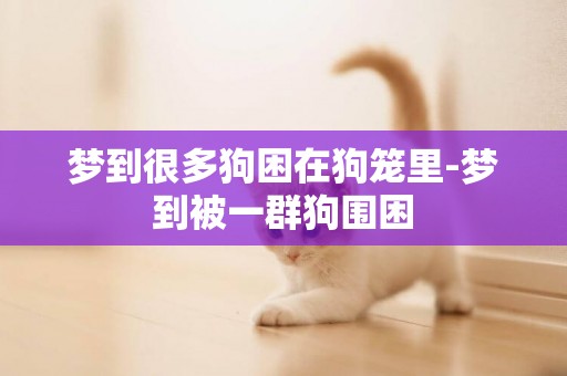 夢到很多狗困在狗籠里-夢到被一群狗圍困