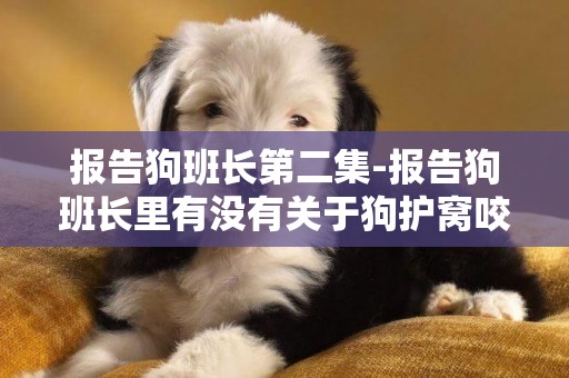 報告狗班長第二集-報告狗班長里有沒有關于狗護窩咬人的，哪一集，謝謝！