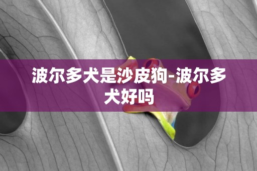 波爾多犬是沙皮狗-波爾多犬好嗎
