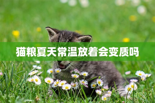貓糧夏天常溫放著會變質嗎