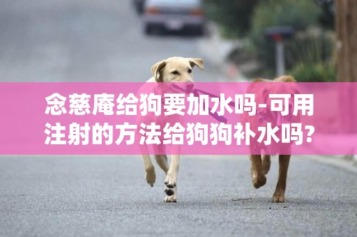 念慈庵給狗要加水嗎-可用注射的方法給狗狗補水嗎?
