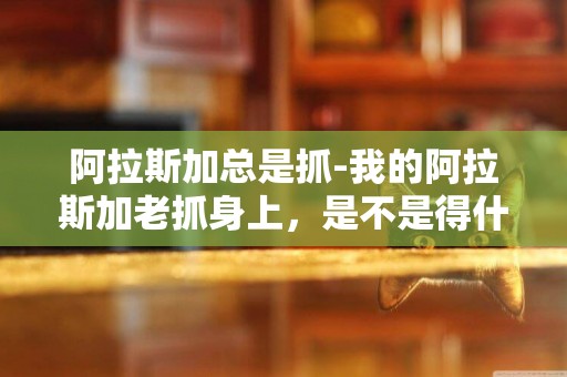 阿拉斯加總是抓-我的阿拉斯加老抓身上，是不是得什么病了