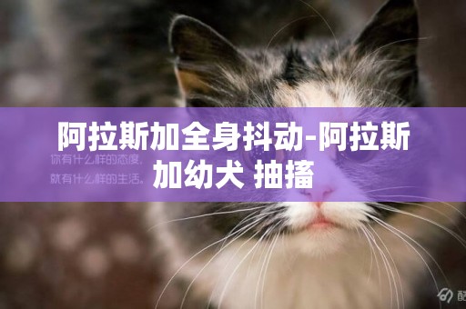 阿拉斯加全身抖動-阿拉斯加幼犬 抽搐