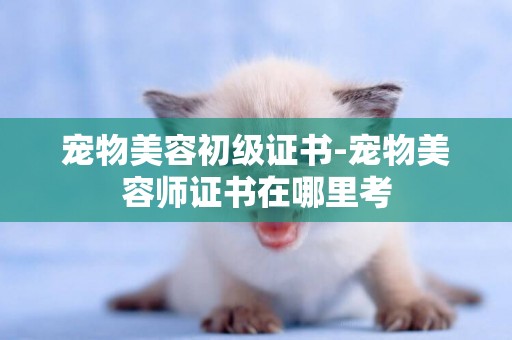寵物美容初級證書-寵物美容師證書在哪里考