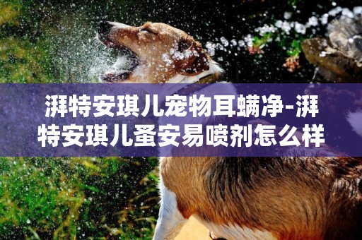 湃特安琪兒寵物耳螨凈-湃特安琪兒蚤安易噴劑怎么樣