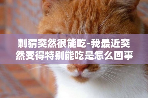 刺猬突然很能吃-我最近突然變得特別能吃是怎么回事