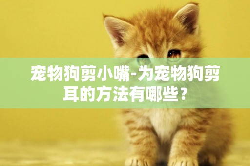 寵物狗剪小嘴-為寵物狗剪耳的方法有哪些？