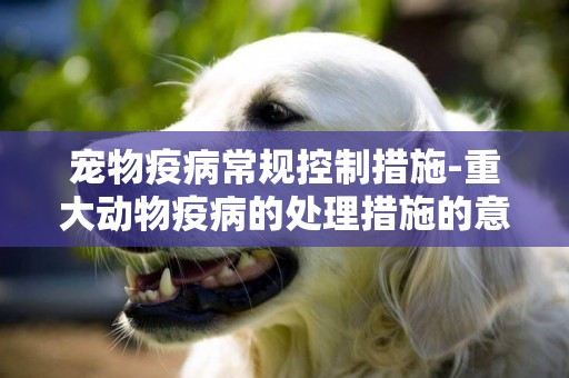 寵物疫病常規控制措施-重大動物疫病的處理措施的意義