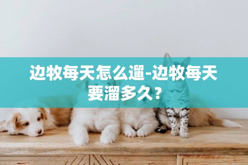 邊牧每天怎么遛-邊牧每天要溜多久？