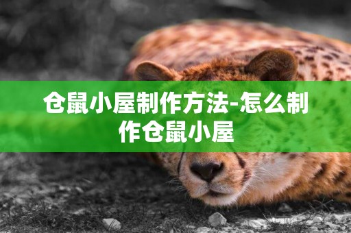 倉鼠小屋制作方法-怎么制作倉鼠小屋