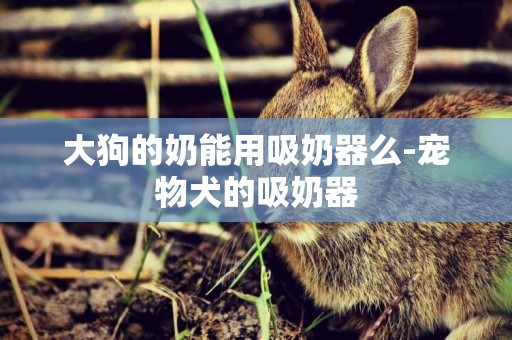 大狗的奶能用吸奶器么-寵物犬的吸奶器