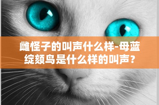 雌怪子的叫聲什么樣-母藍綻頦鳥是什么樣的叫聲？