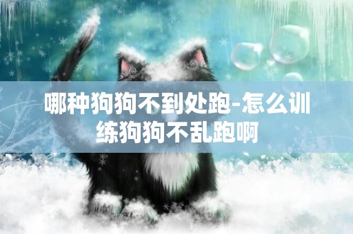 哪種狗狗不到處跑-怎么訓練狗狗不亂跑啊