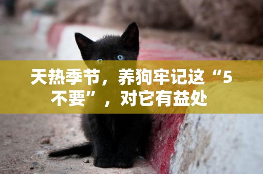 天熱季節，養狗牢記這“5不要”，對它有益處 