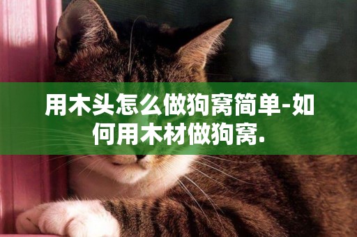 用木頭怎么做狗窩簡單-如何用木材做狗窩.