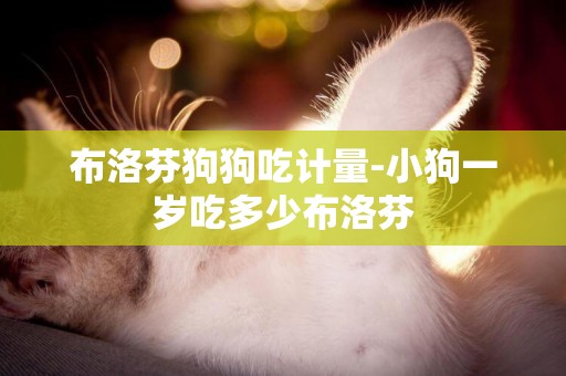 布洛芬狗狗吃計量-小狗一歲吃多少布洛芬