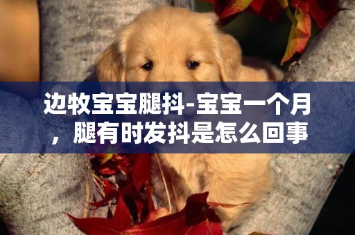 邊牧寶寶腿抖-寶寶一個月，腿有時發抖是怎么回事