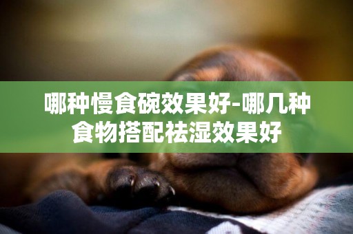 哪種慢食碗效果好-哪幾種食物搭配祛濕效果好