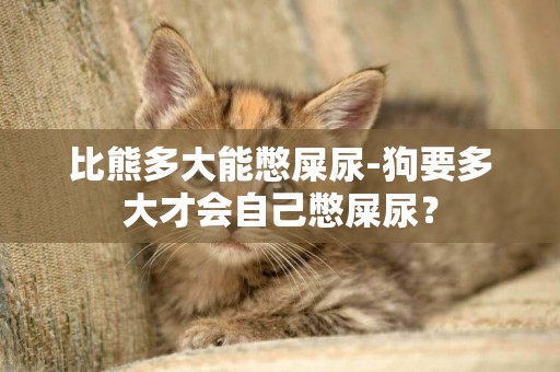 比熊多大能憋屎尿-狗要多大才會自己憋屎尿？