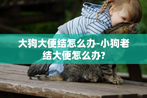 大狗大便結怎么辦-小狗老結大便怎么辦?