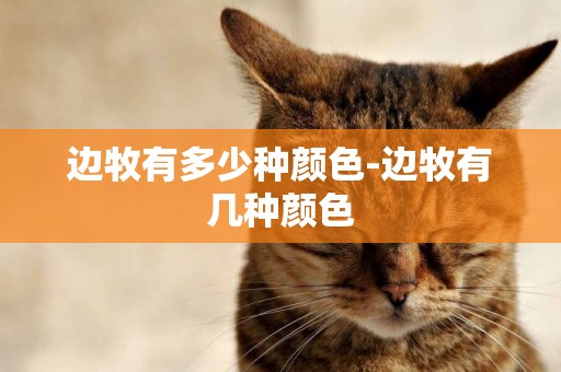 邊牧有多少種顏色-邊牧有幾種顏色