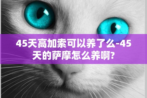45天高加索可以養了么-45天的薩摩怎么養啊?
