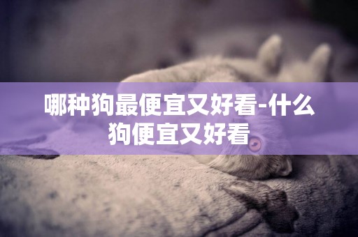 哪種狗最便宜又好看-什么狗便宜又好看