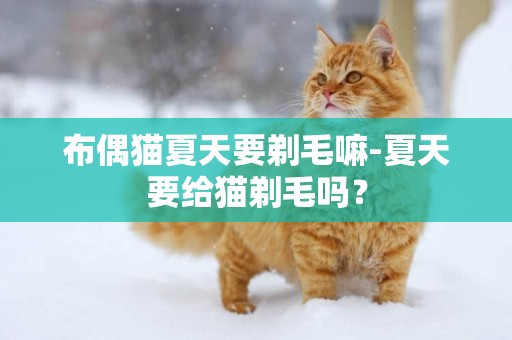 布偶貓夏天要剃毛嘛-夏天要給貓剃毛嗎？